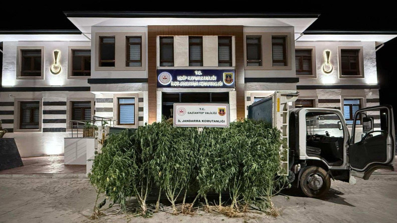 YASADIŞI KENEVİR EKİMİNE JANDARMA OPERASYONU