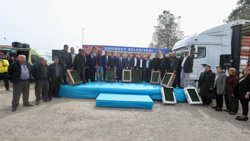 Şahinbey Belediyesi’nden çiftçilere fide desteği
